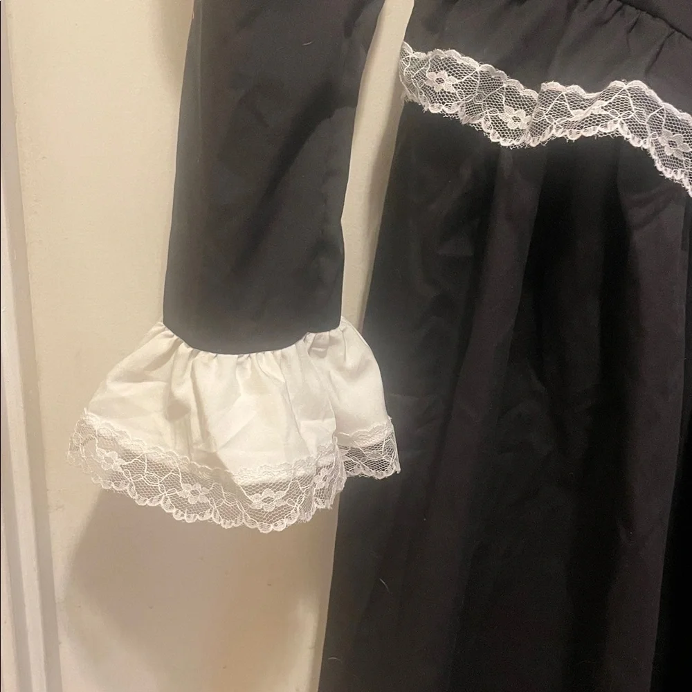 Susan B Anthony costume